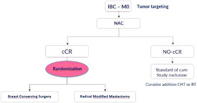 Conserving surgery in inflammatory breast cancer after neoadjuvant chemotherapy in patients with clinical complete response: the ConSIBreC randomized controlled trial